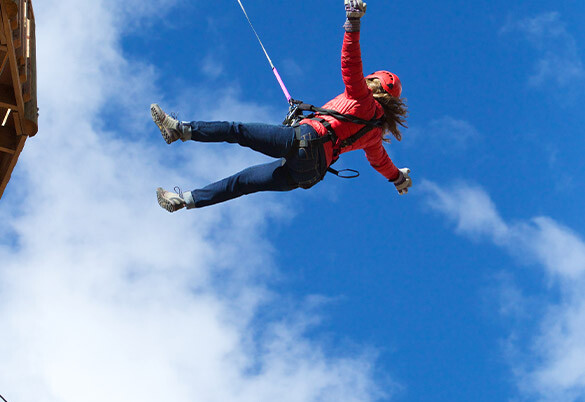 Freefall