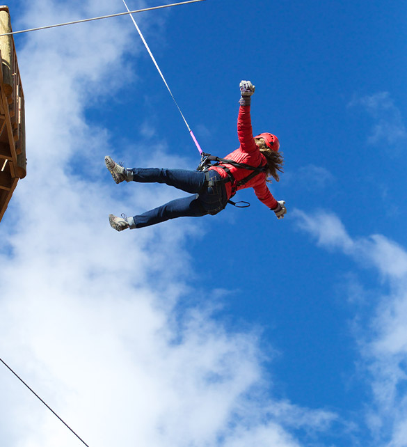 Freefall