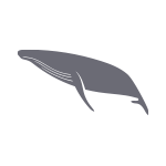 Ikona